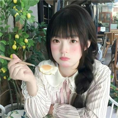 狗的审判