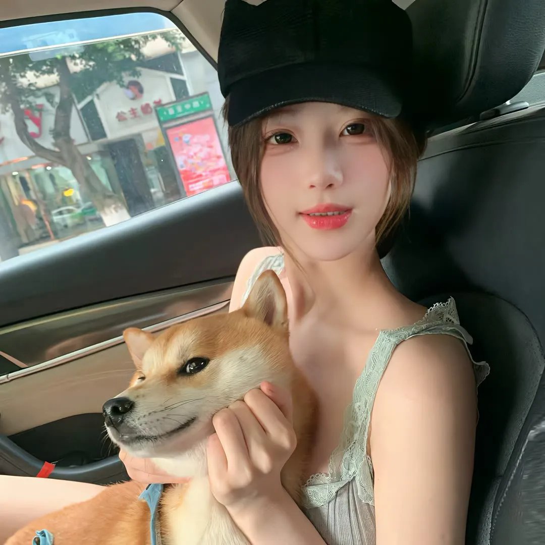 征服北极的人